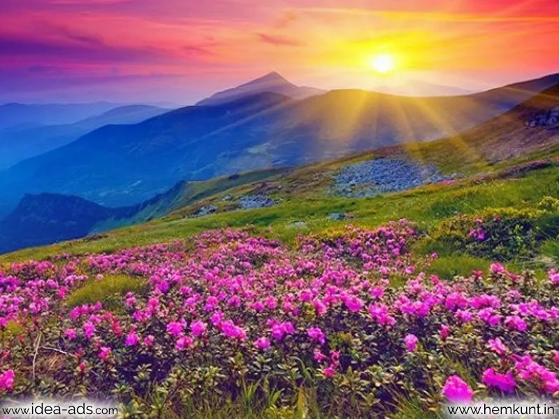 valley of flowers national park uttarakhand