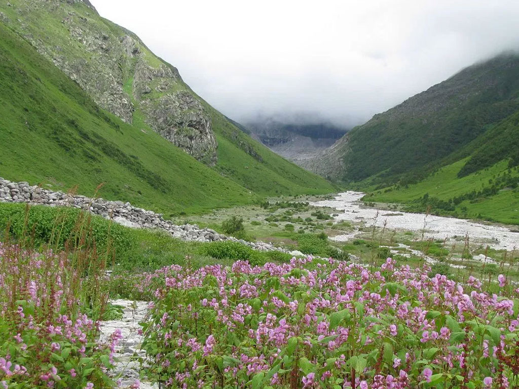 Reaching Valley of Flowers National Park