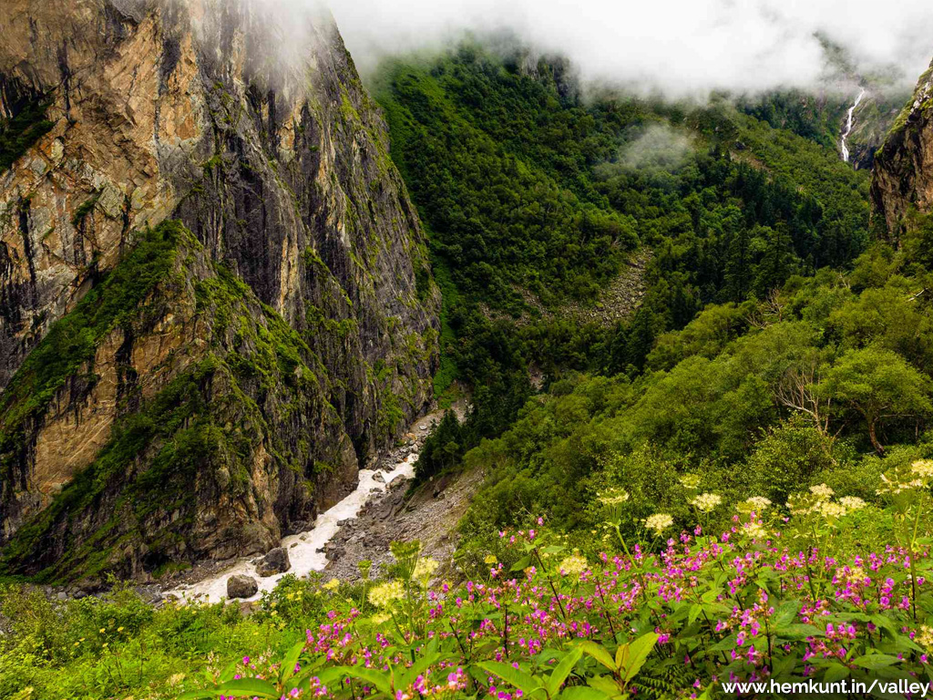 Valley of Flowers trekking, travel guide